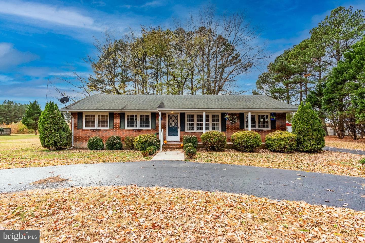 12020 Sherree Lane photo 1
