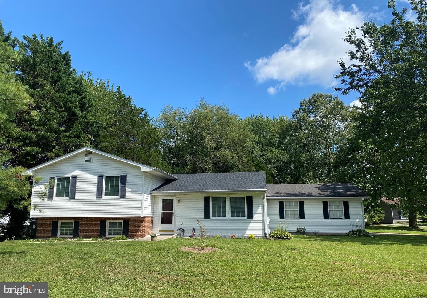 7347 Shirley Drive photo 1
