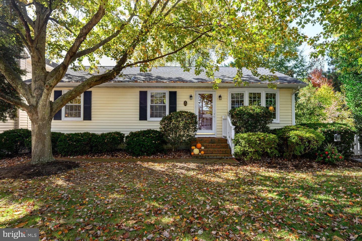 224 South Street photo 1