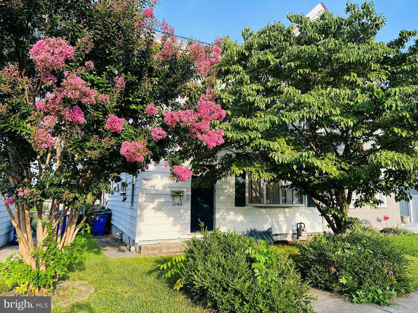 1048 Corbett Street photo 1