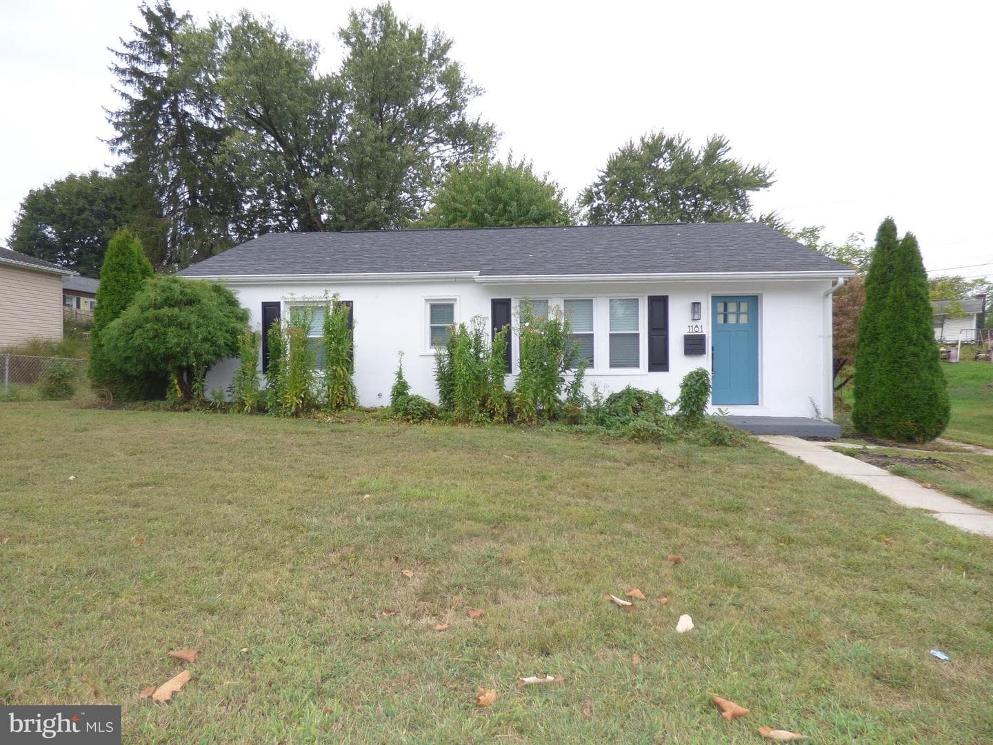 1181 Wayne Avenue photo 1