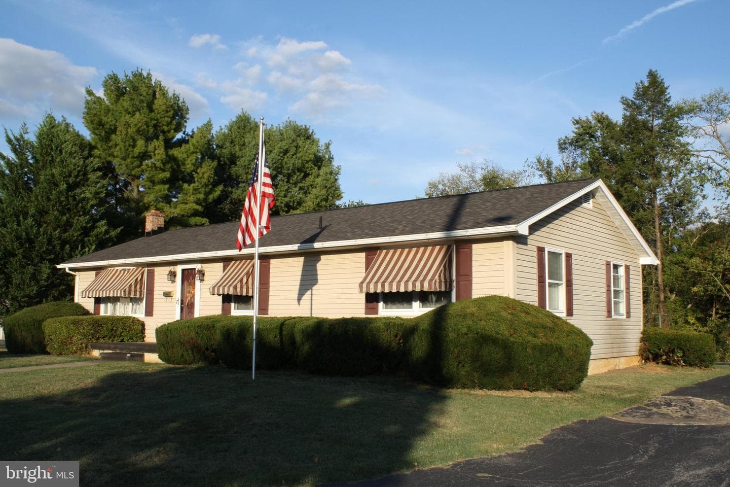 30 Willard Street photo 1