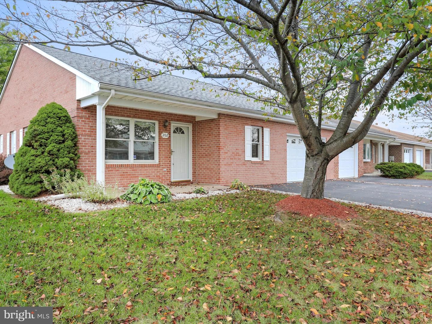 202 S Fork Drive photo 1