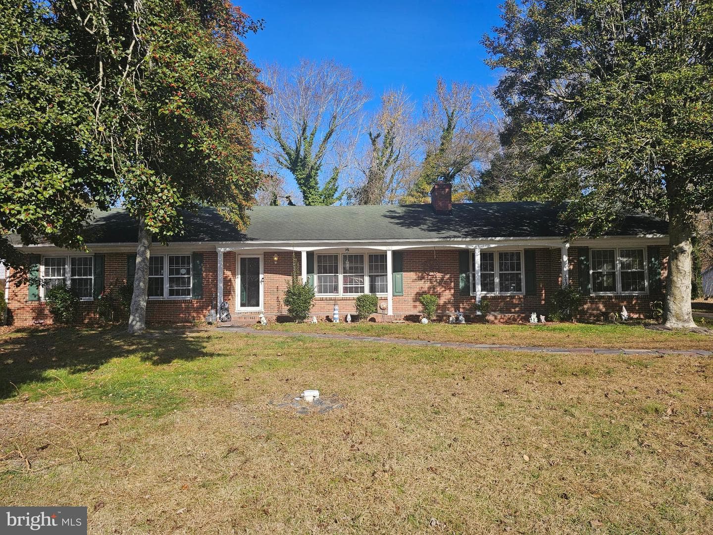 703 Camelia Road photo 1