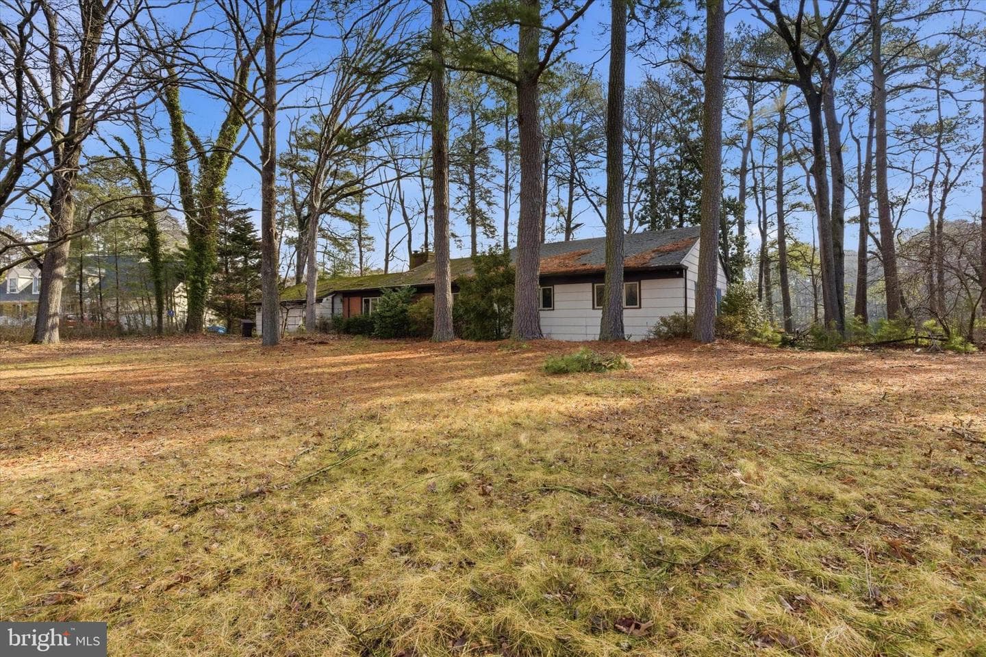 8539 Marlboro Drive photo 1