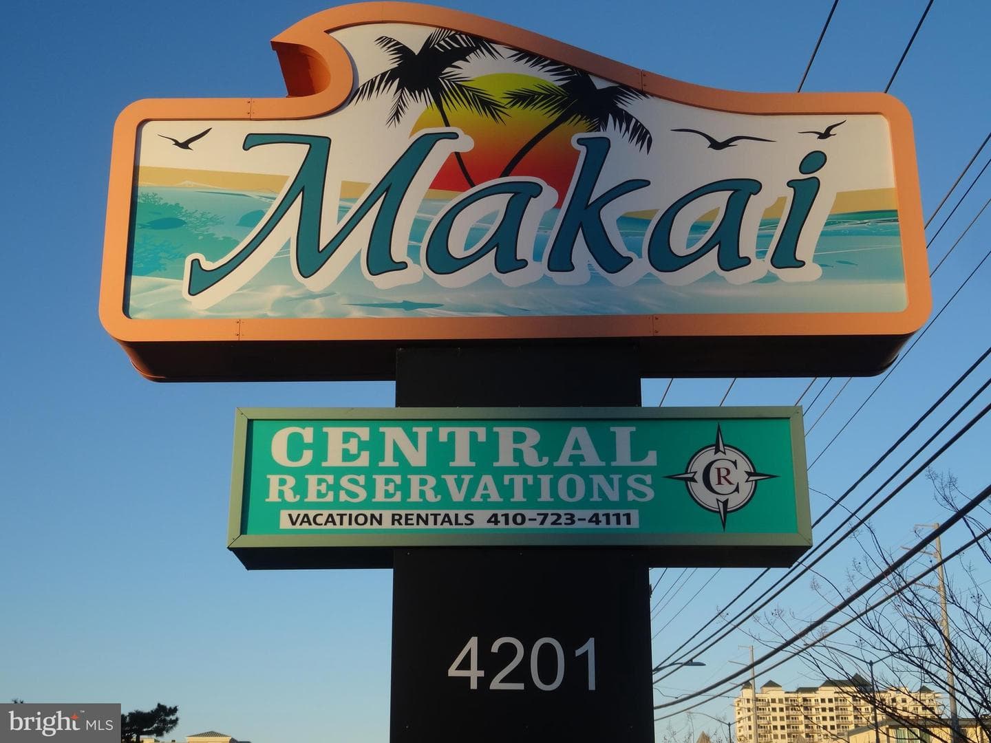 4201 Coastal Highway #203