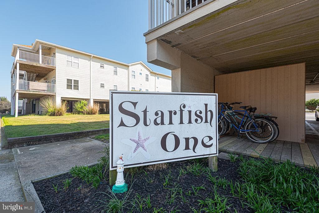 11 51st Street #203