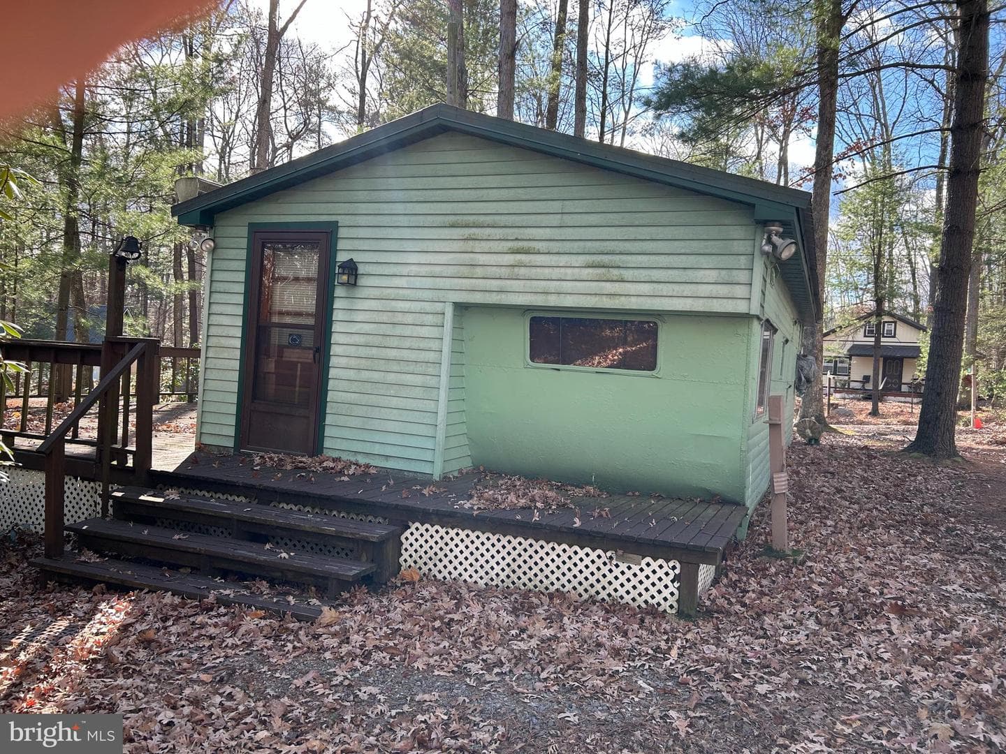 45 Evergreen photo 1