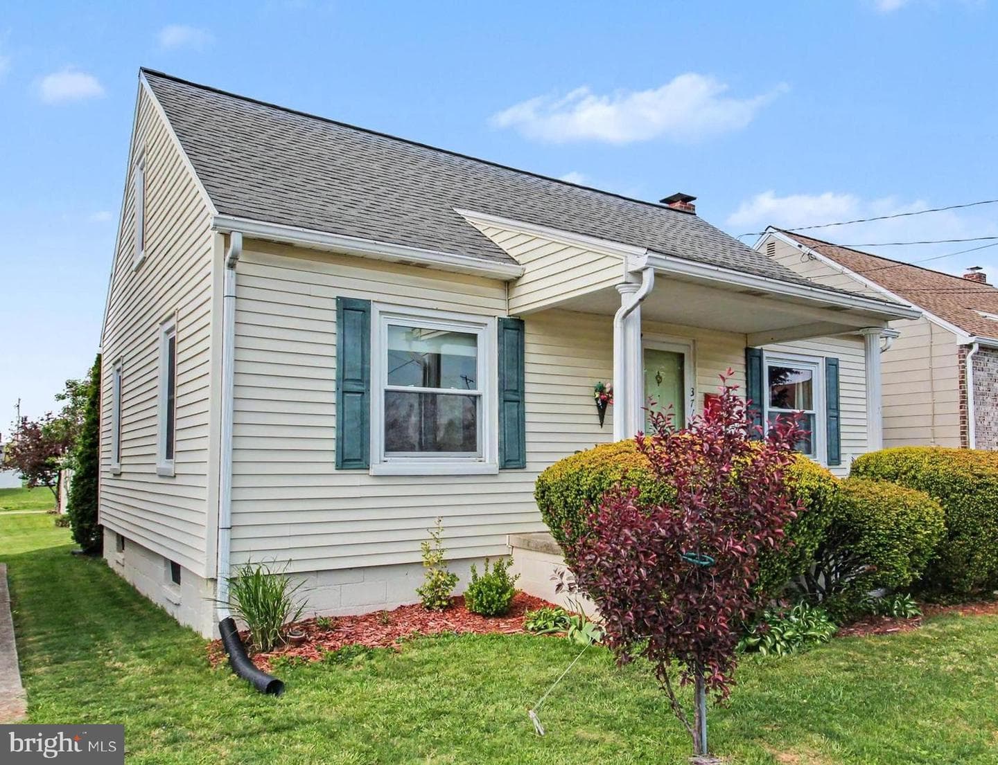 371 Maple Avenue