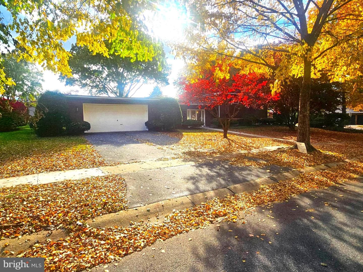 317 Warwick Drive photo 1
