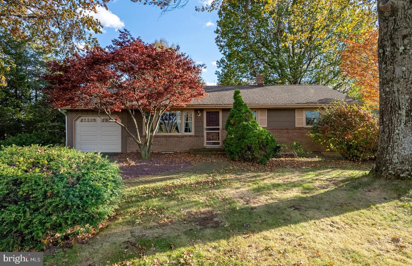 207 Laurel Avenue photo 1