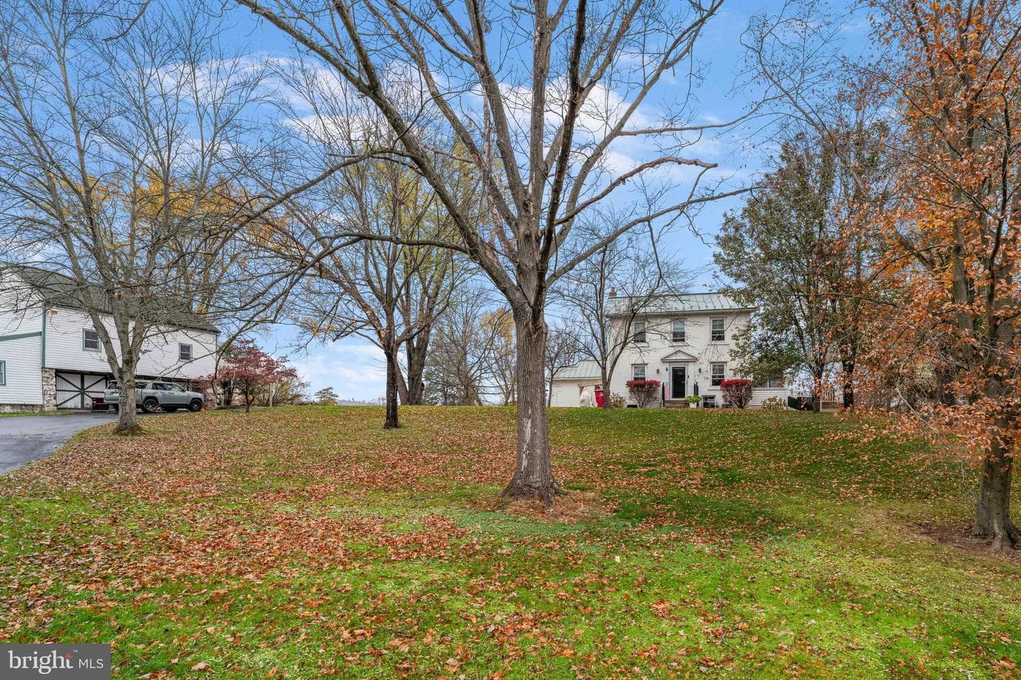 100 Pineland Road photo 1