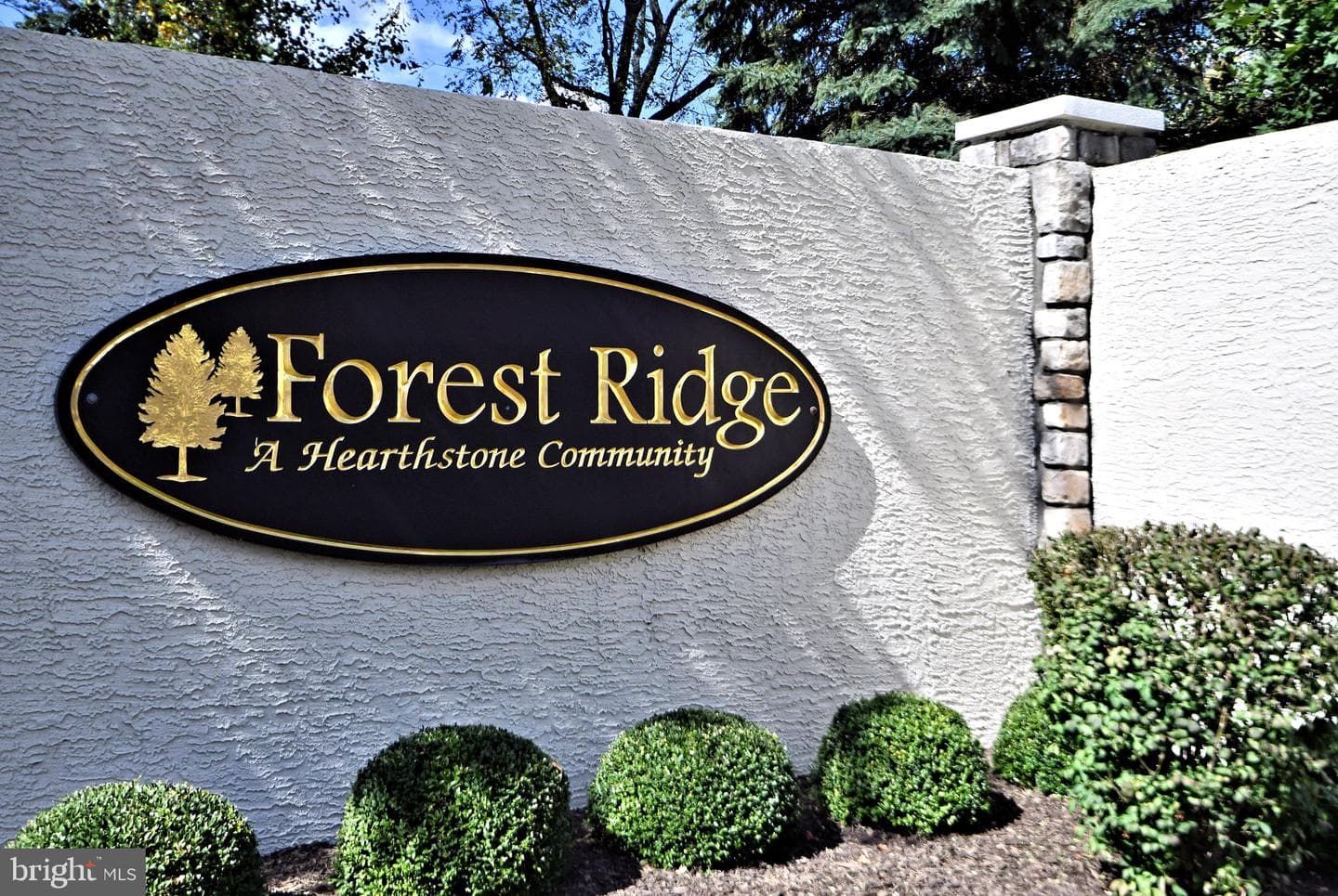 200 Fiddleleaf Lane #303 photo 1