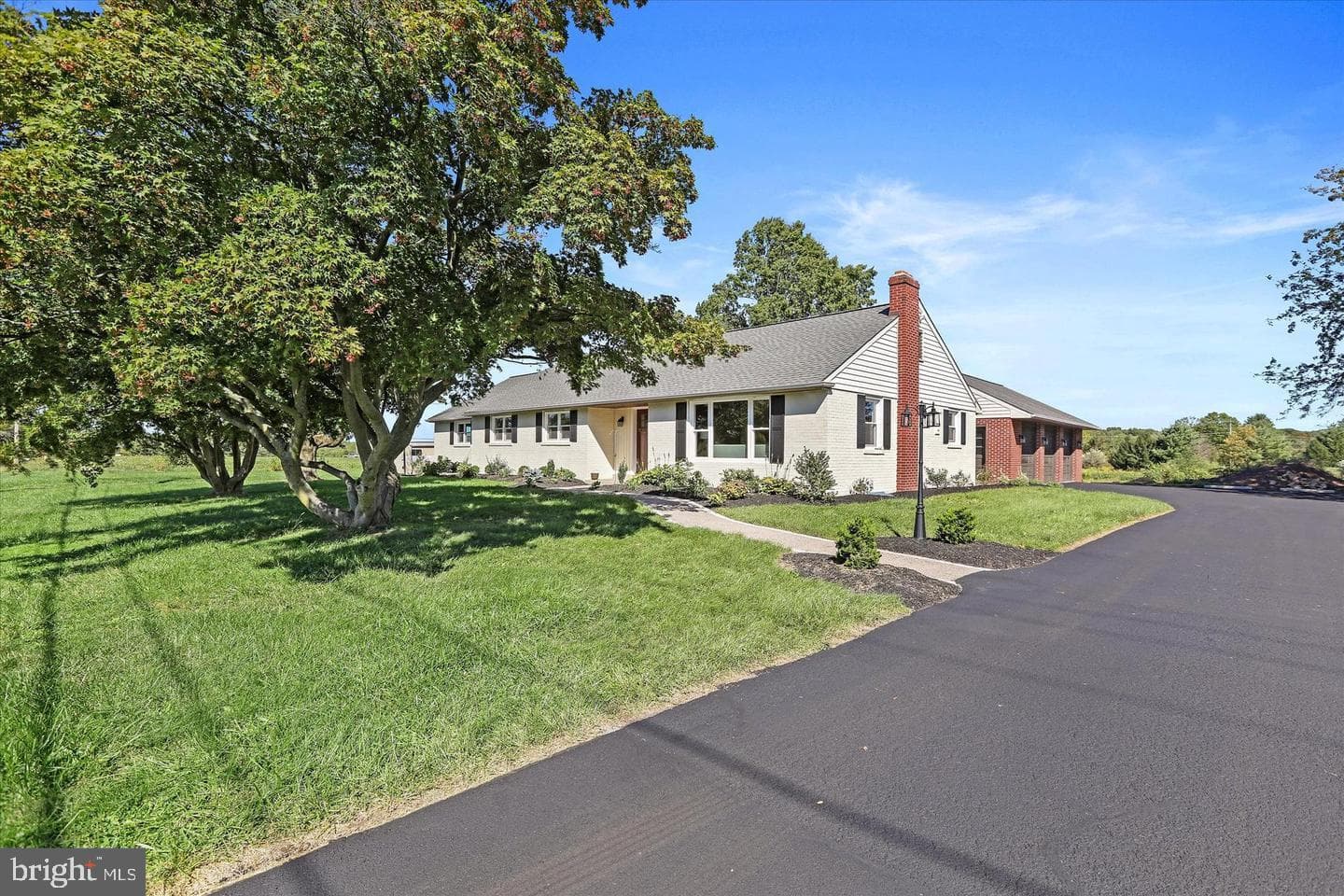 291 Elephant Road photo 1
