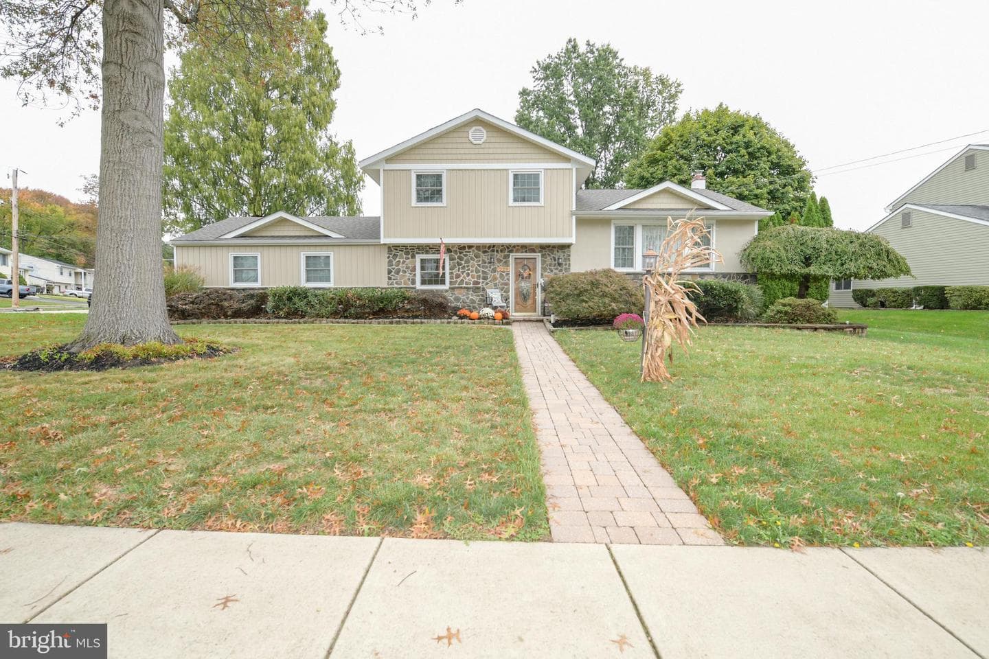 229 Walton Drive photo 1