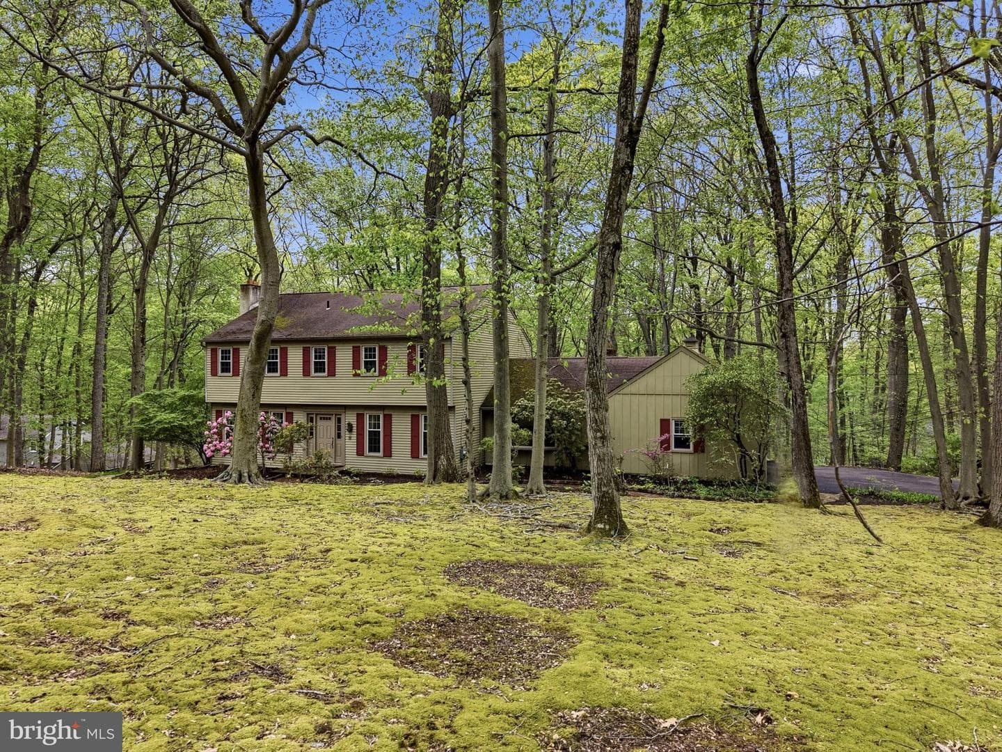 3858 Dogwood Lane