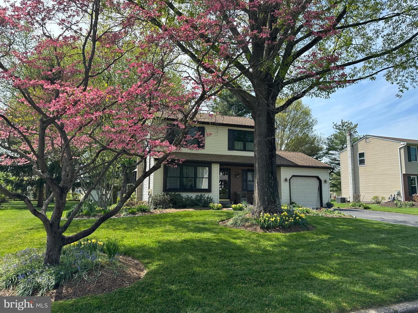74 Basil Road photo 1