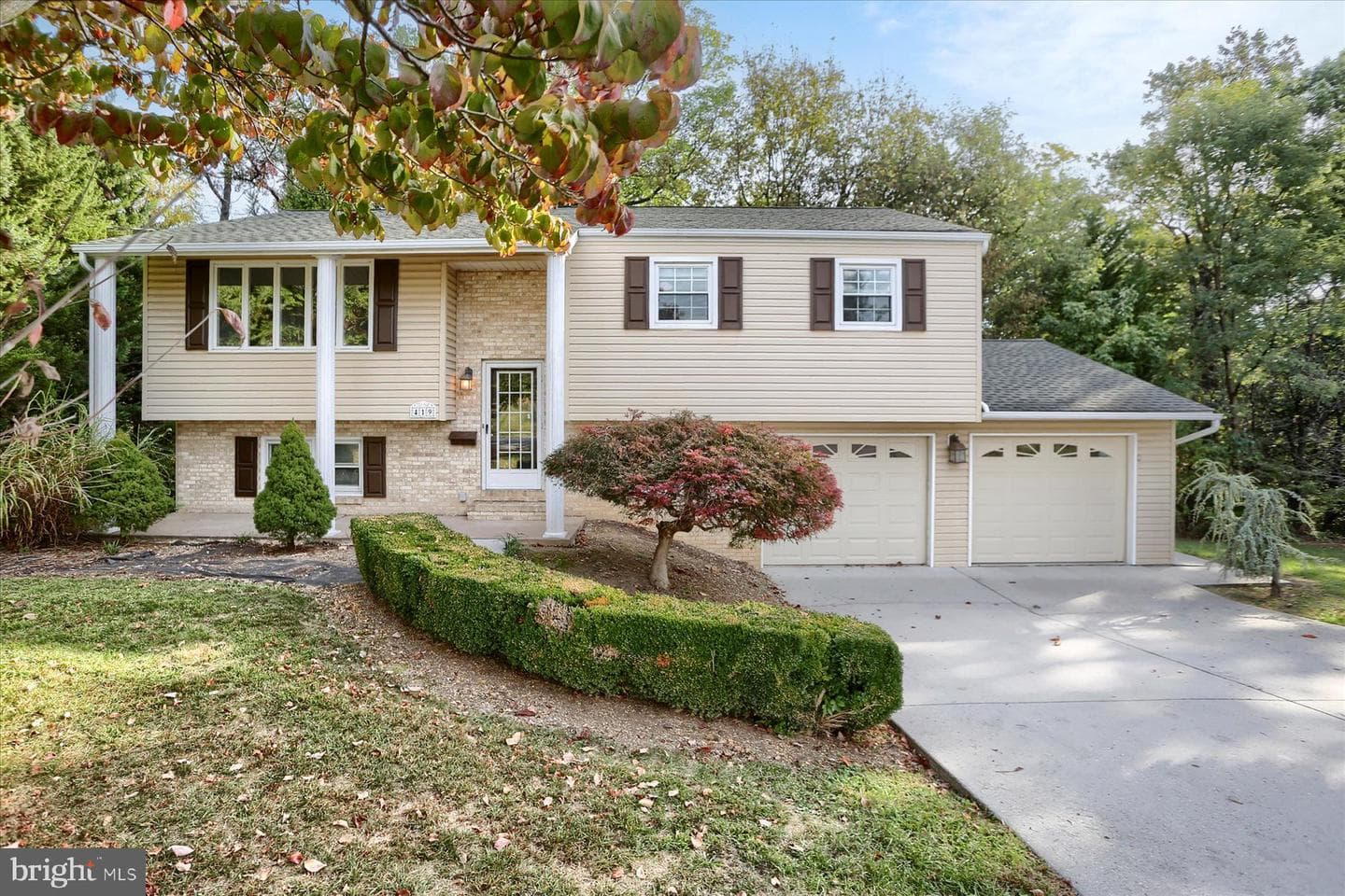 419 Mountain Street photo 1