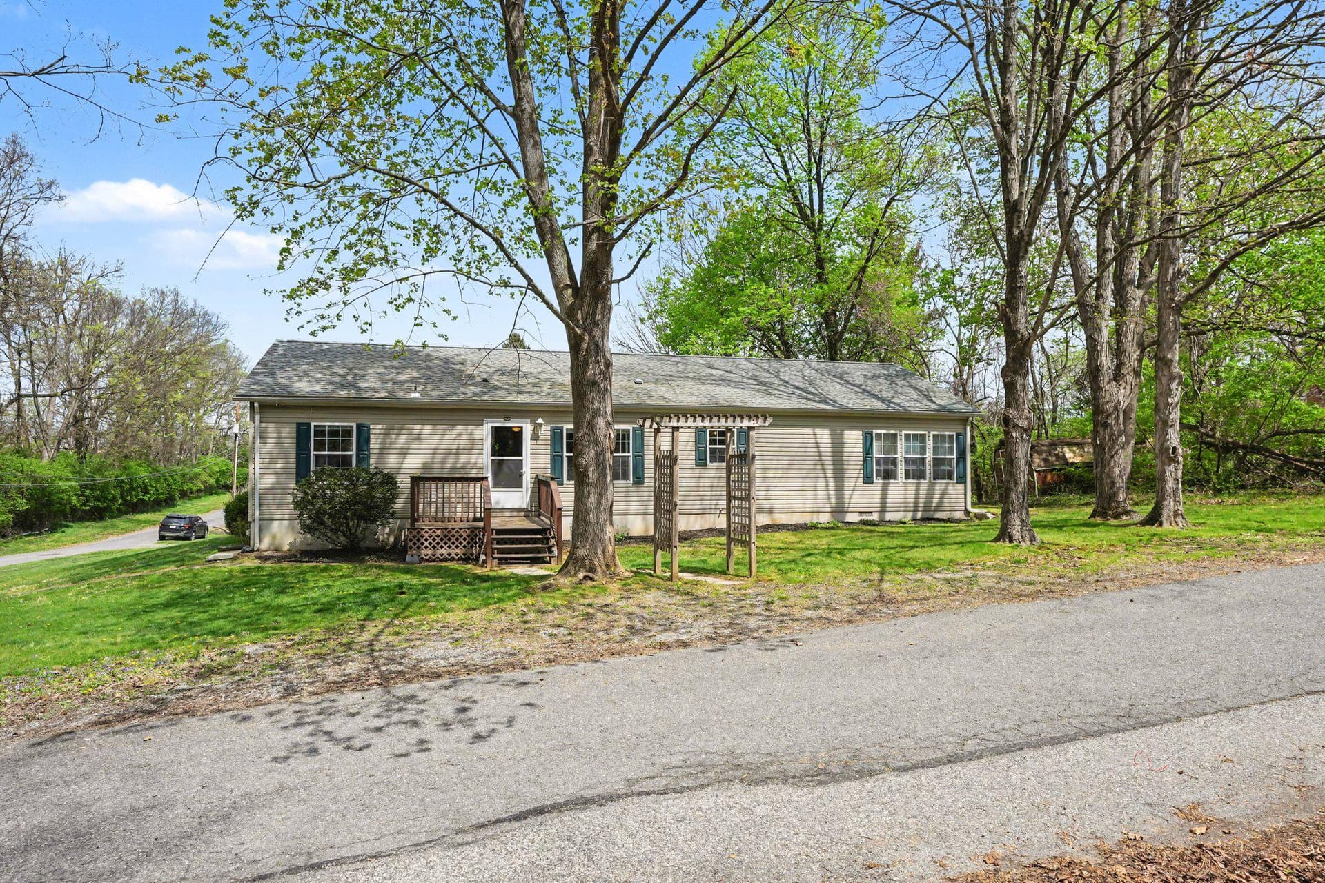 175 Cedar