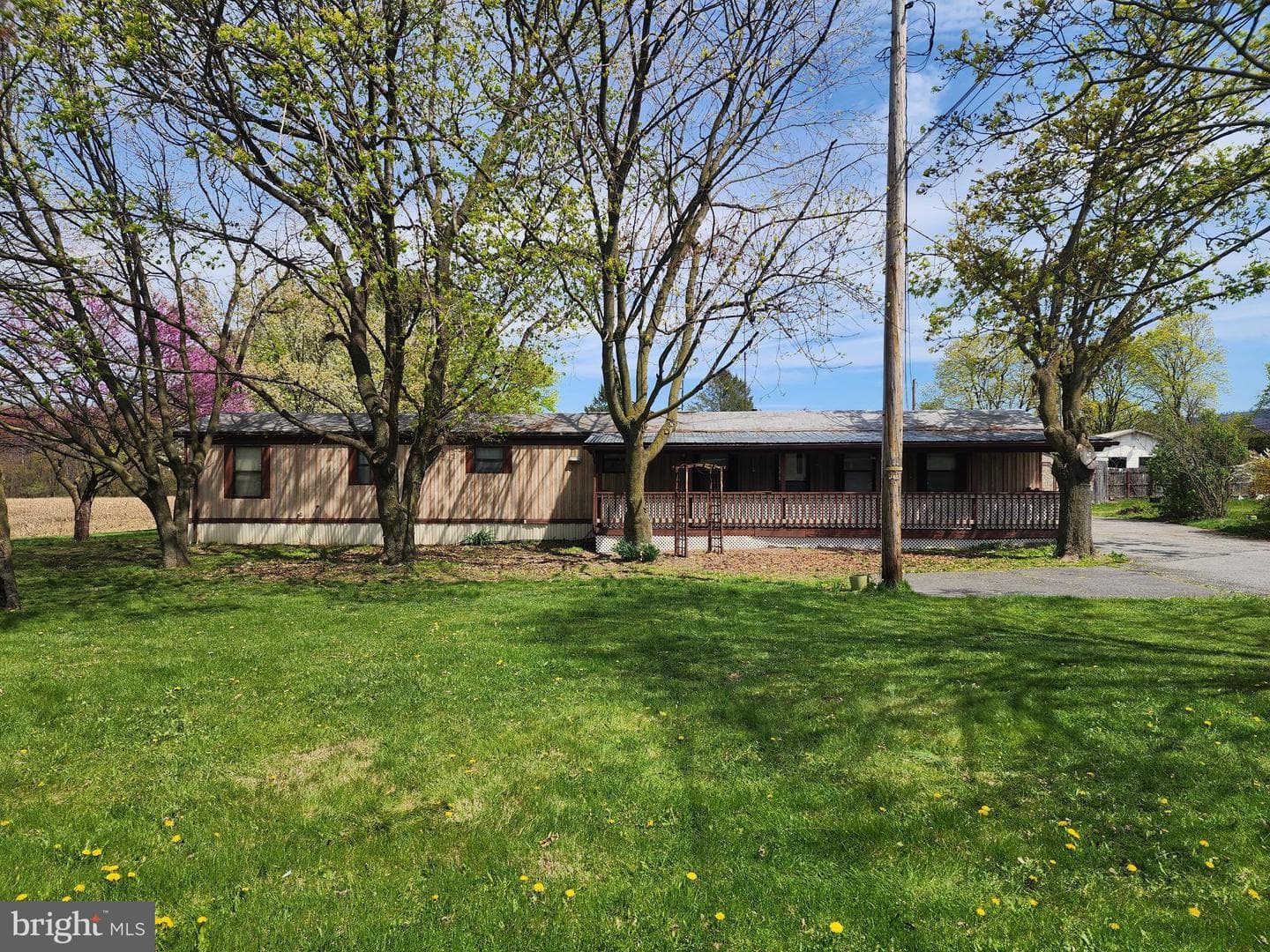 109 Neil Road photo 1