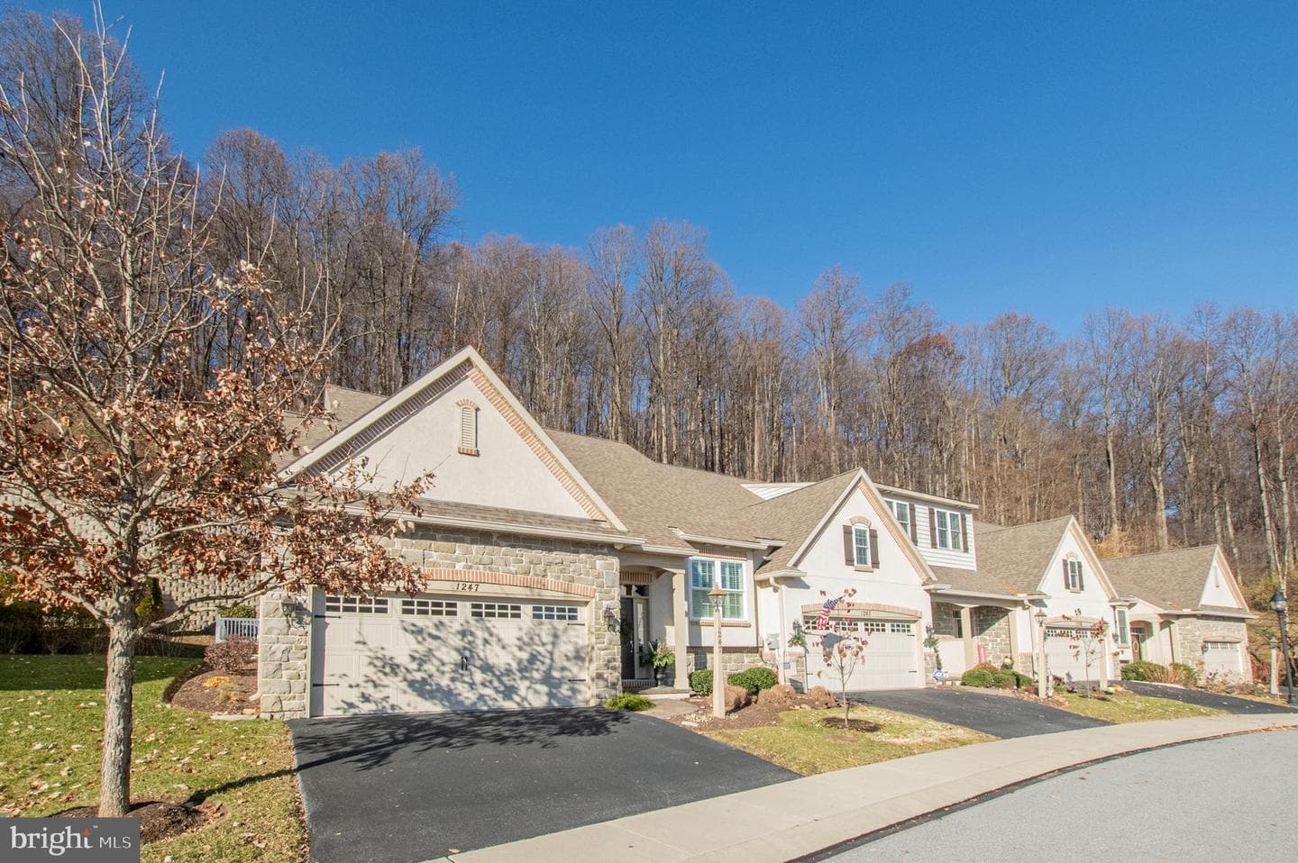 1247 S Red Maple Way photo 1