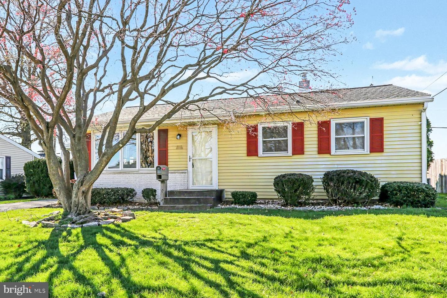 5 Donald Avenue