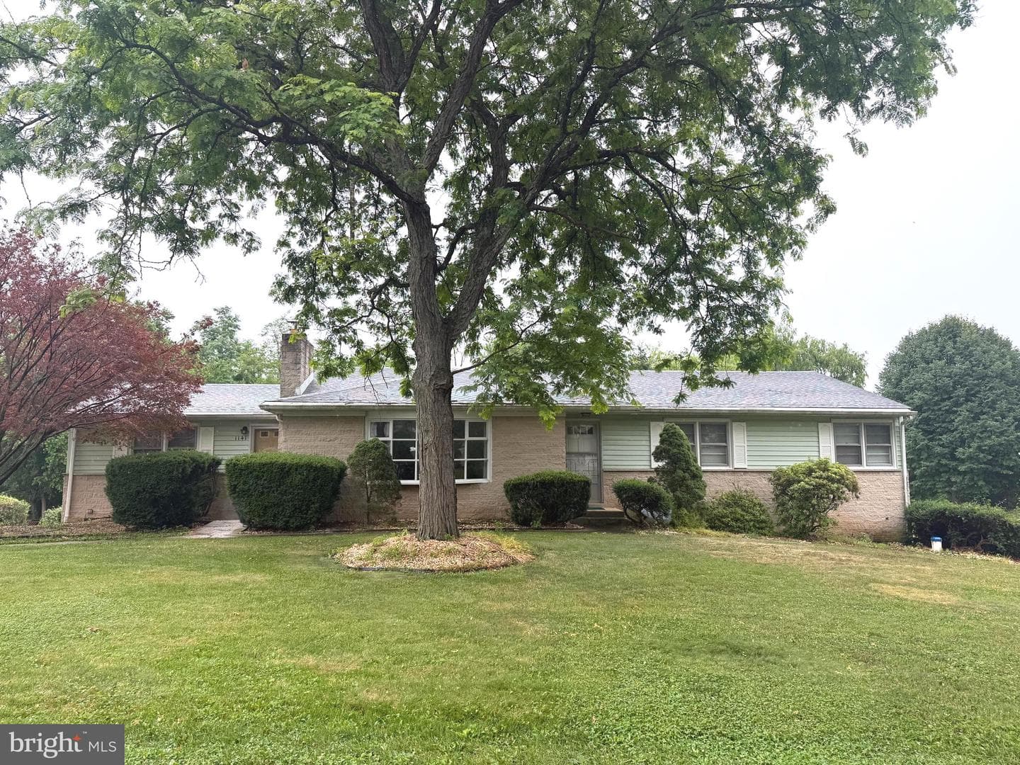 1141 Green Tree Road