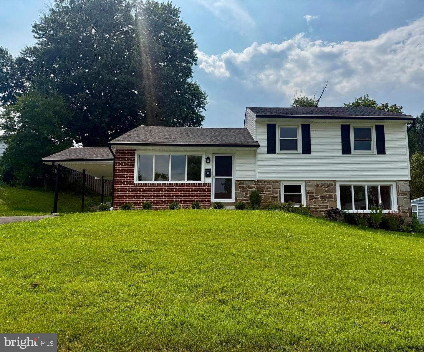 41 Dorset Drive