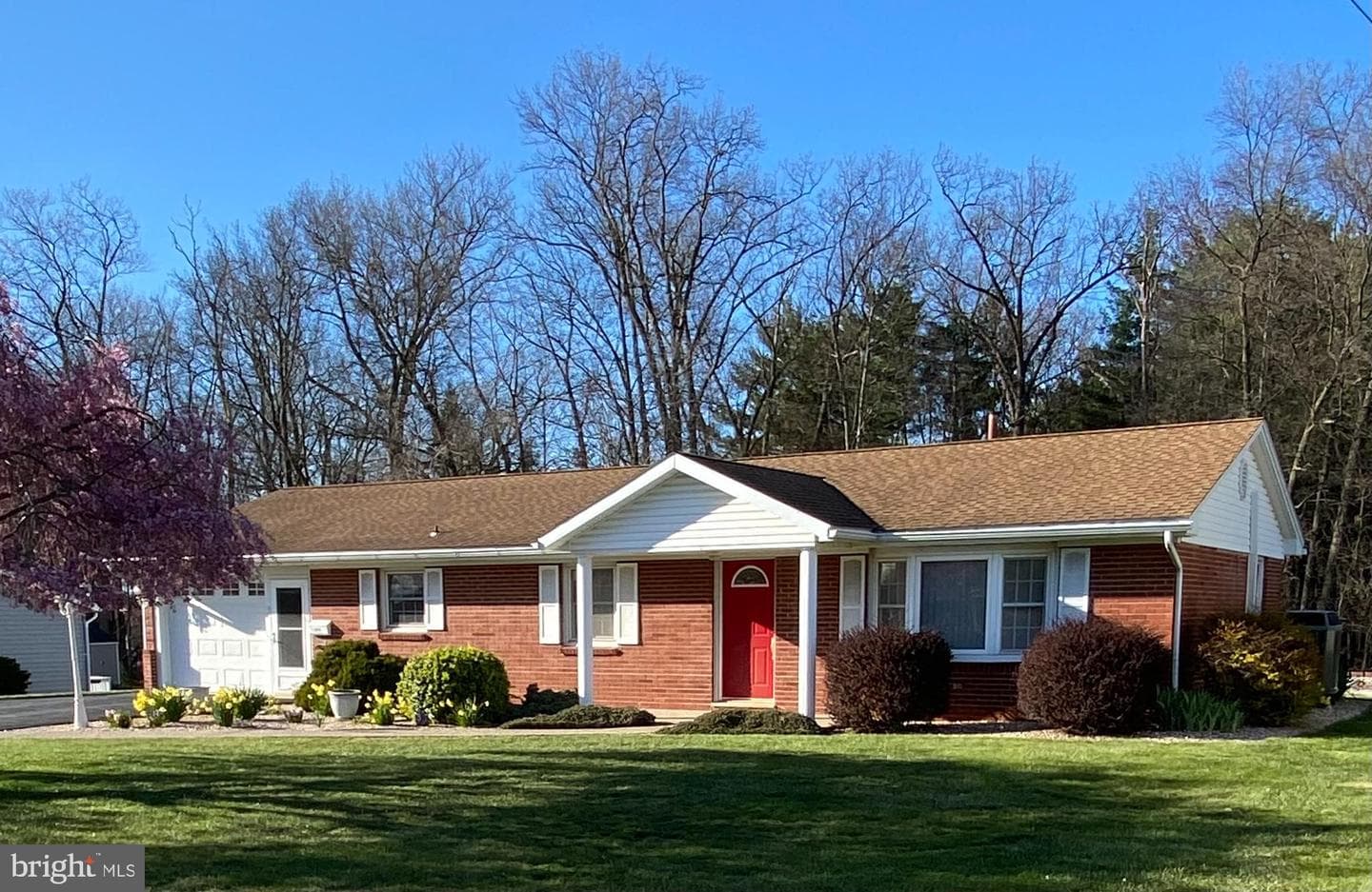 215 University Drive photo 1