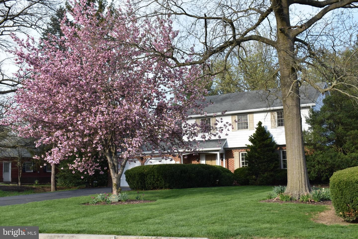 244 Orchard Circle photo 1