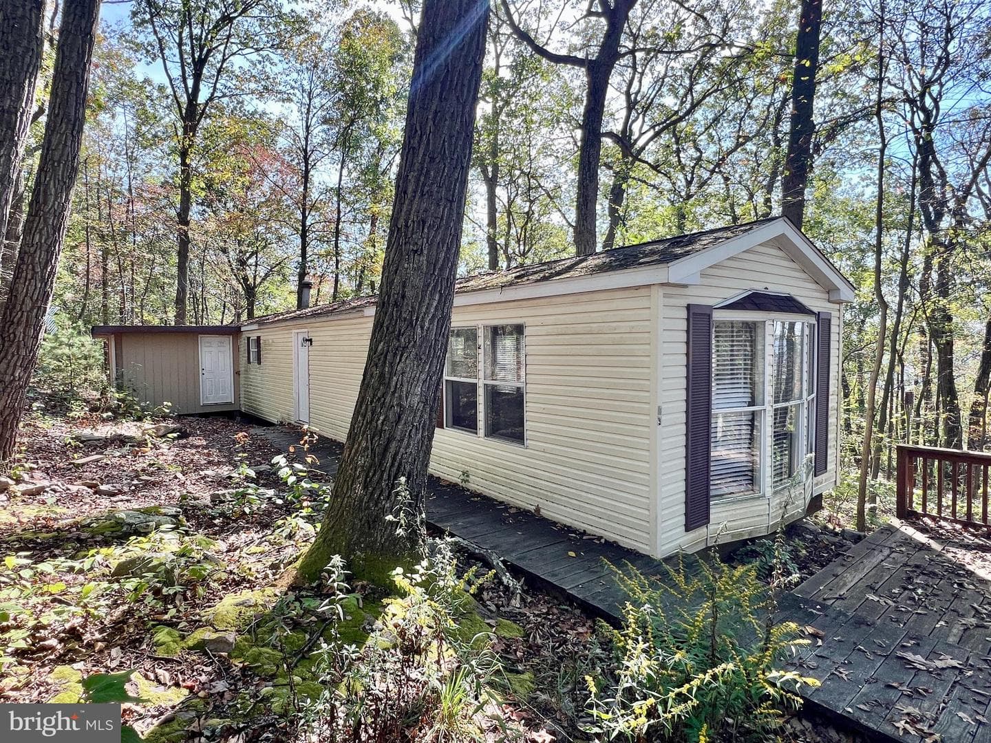 407 Woodlawn Drive photo 1