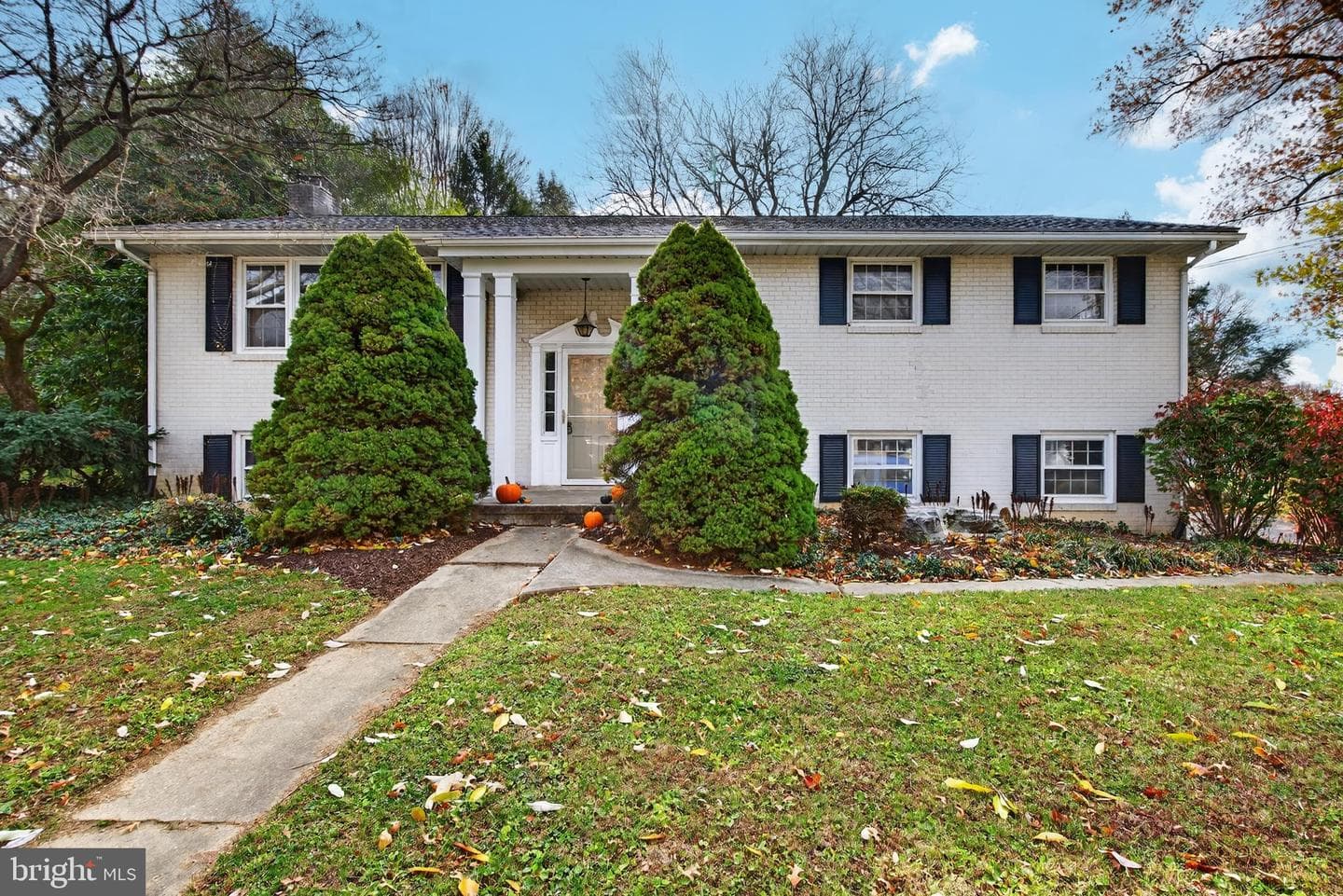 11 Wolf Road photo 1