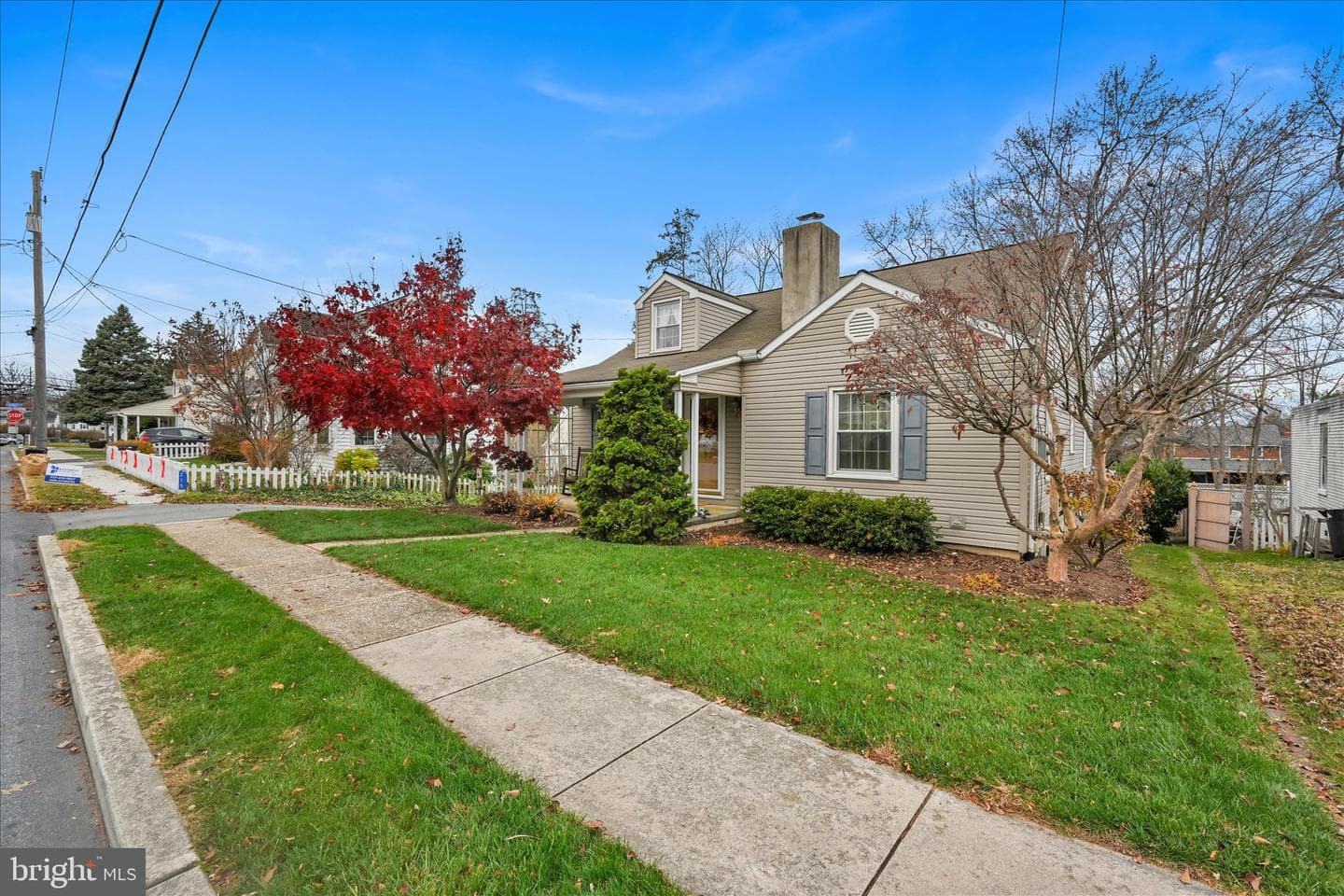 223 Lemon Street photo 1