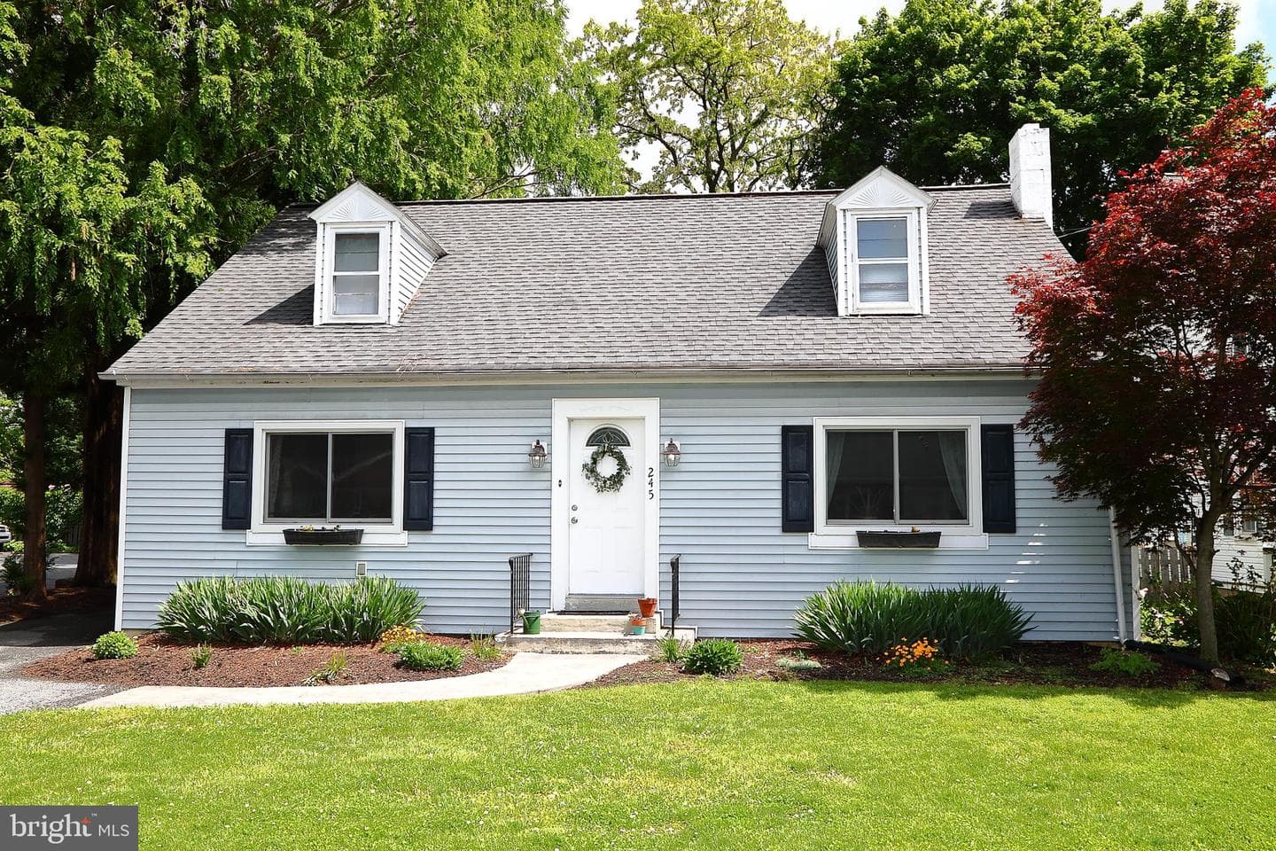 245 Elizabeth Street
