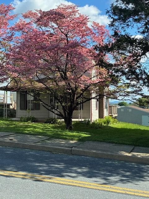 29 W Main Street