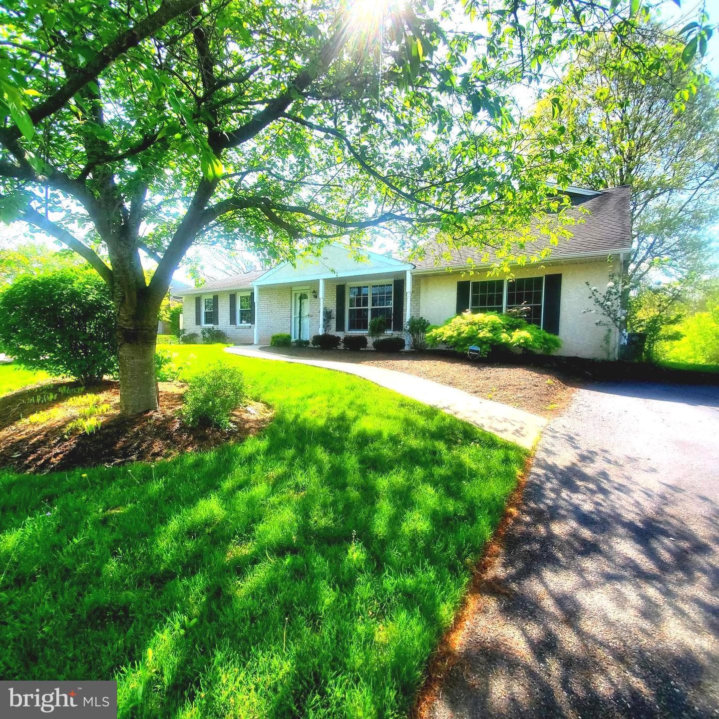 380 Thrush Drive photo 1