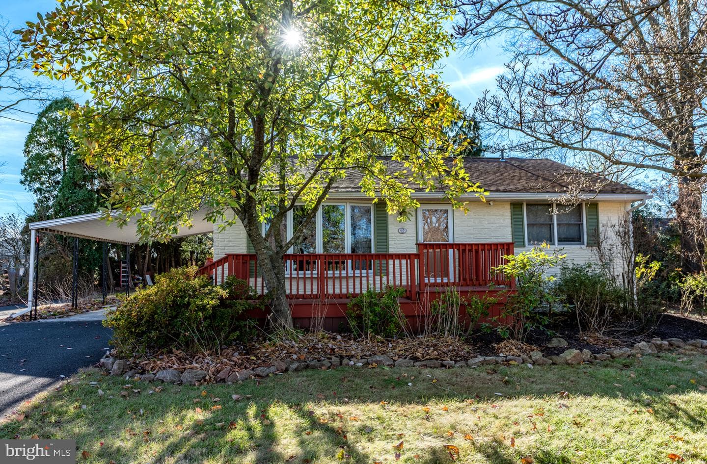 48 College Avenue photo 1