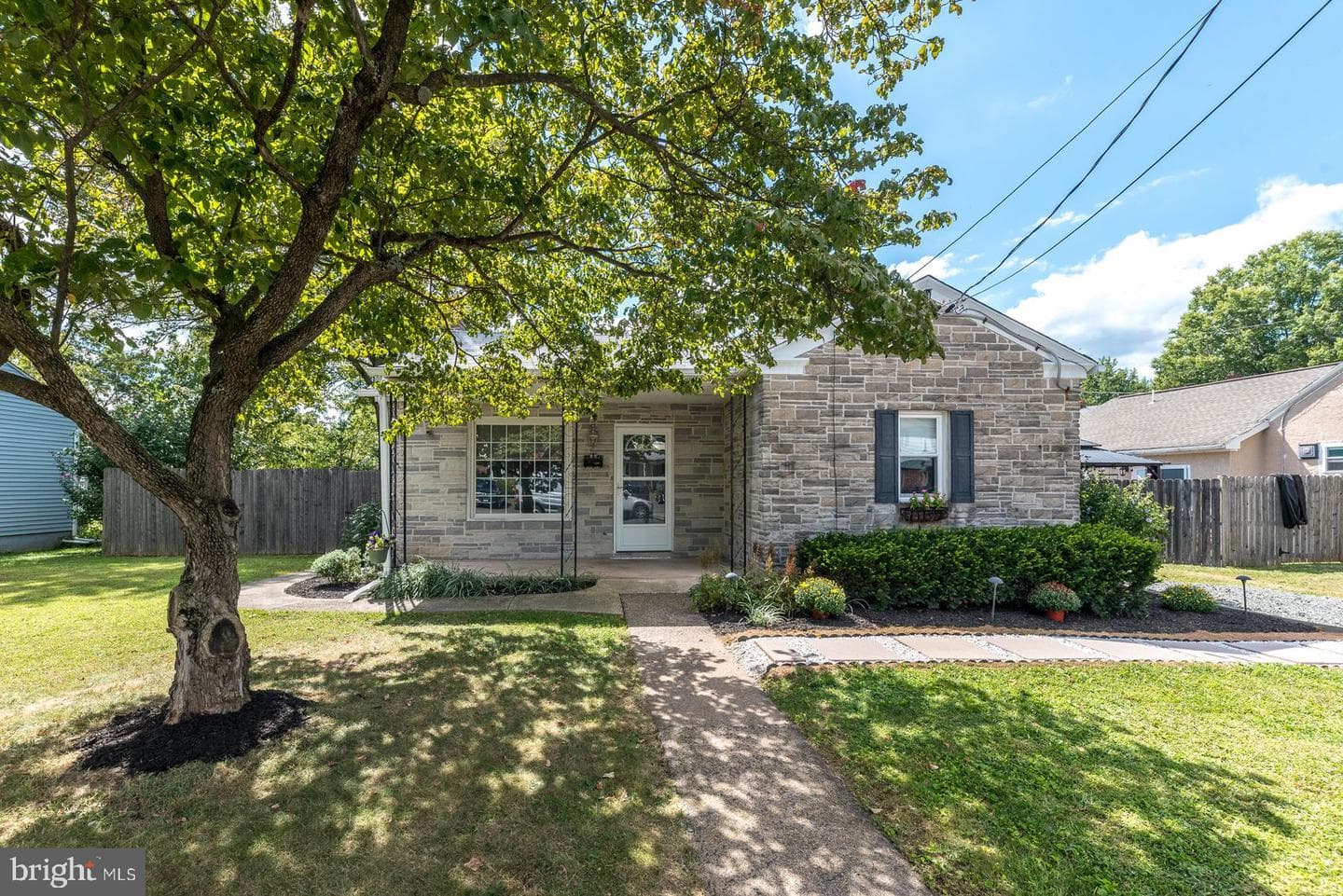 509 Jackson Street photo 1