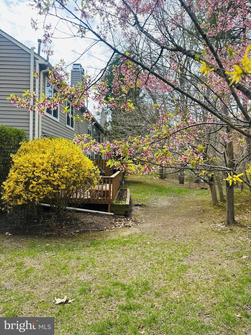290 Tulip Tree Court