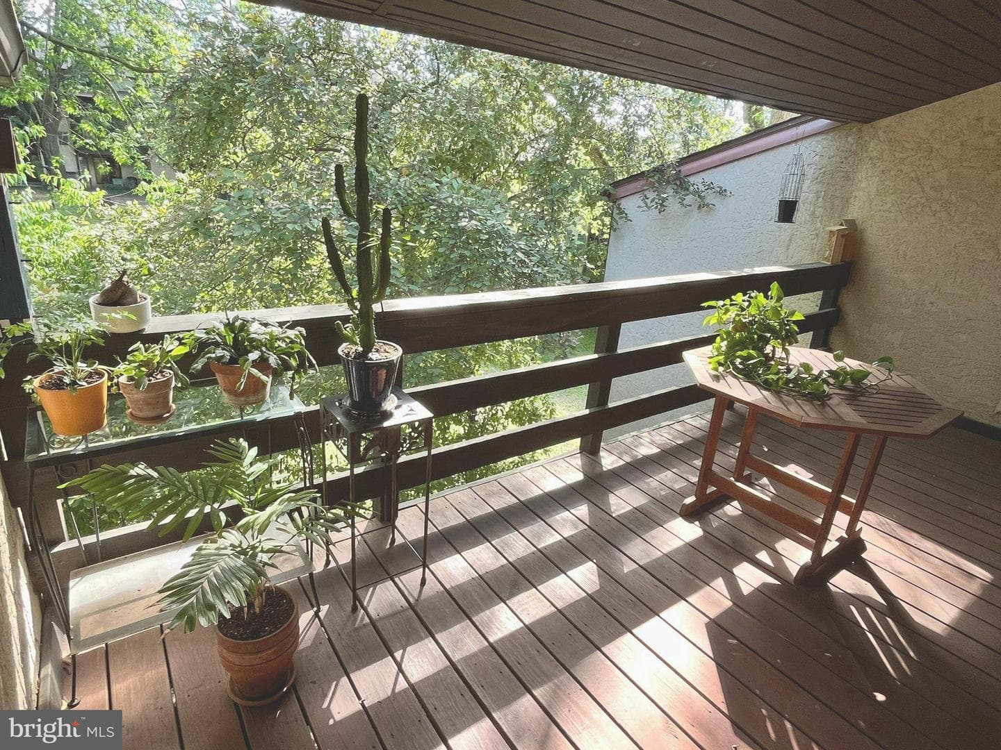 291 Shawmont Avenue #4f7 photo 1