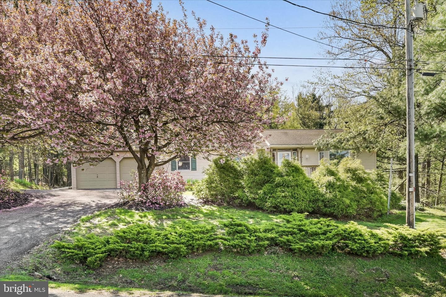 2377 Stallion Drive
