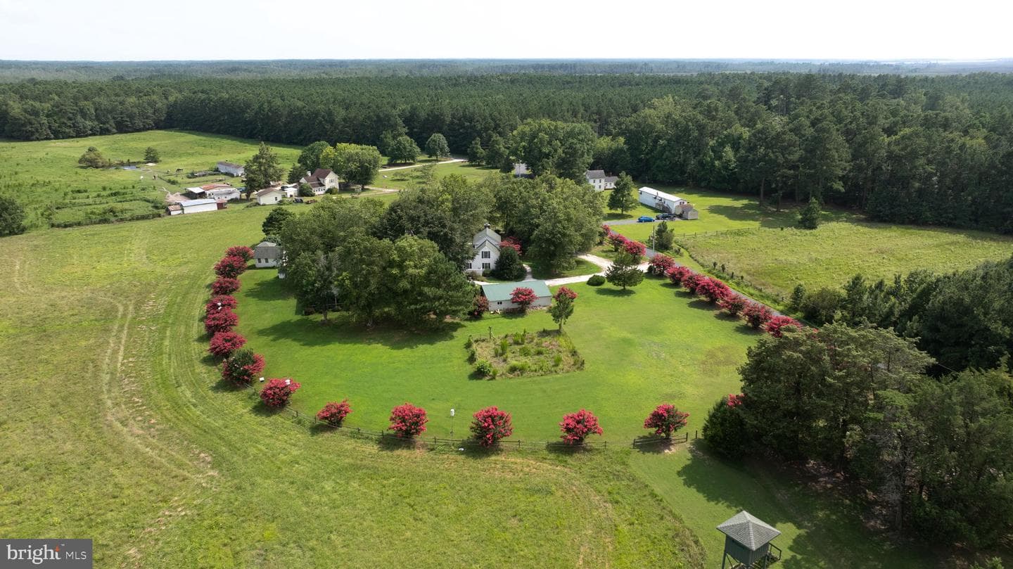 25367 Messongo Road, Temperanceville
