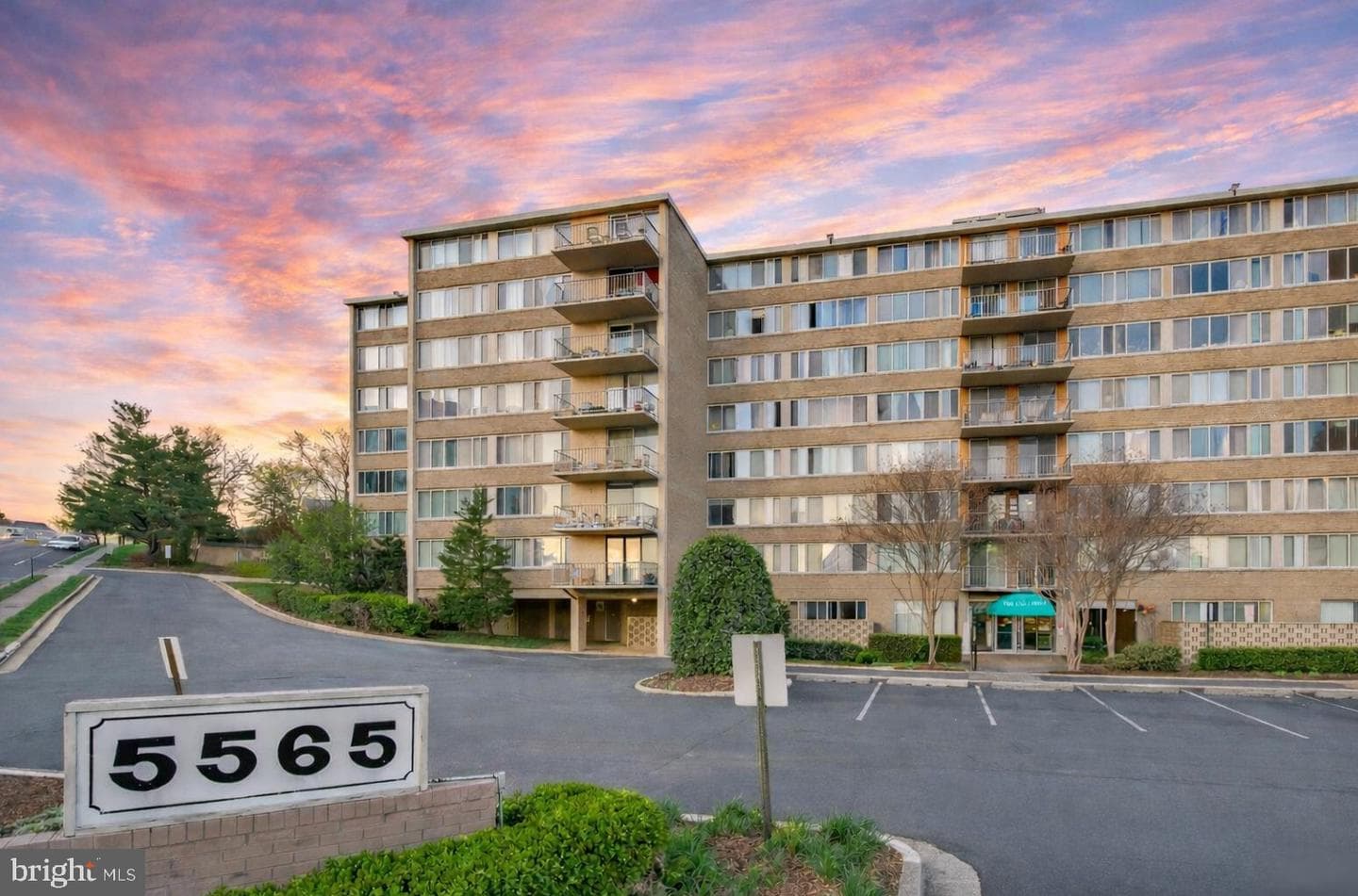 5565 Columbia Pike #606 photo 1