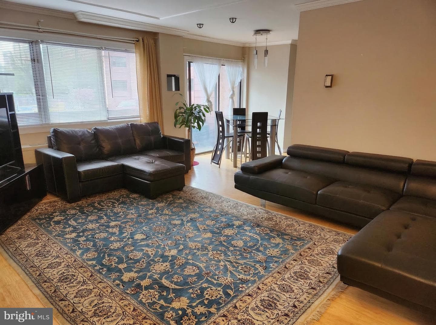1521 S George Mason Drive #10 photo 1