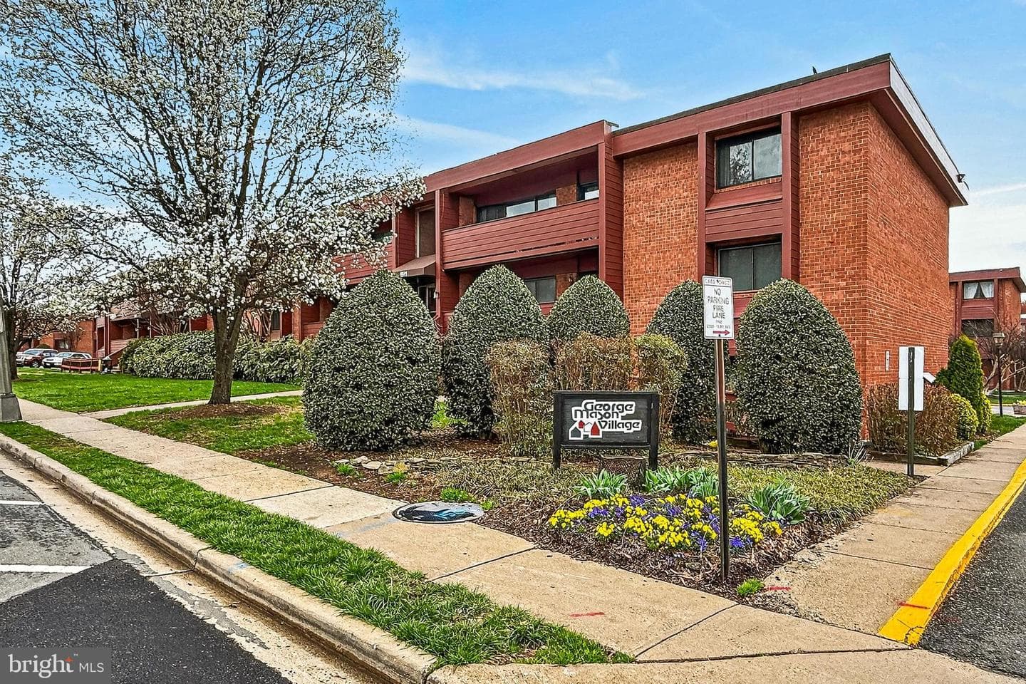1503 S George Mason Drive #23 photo 1