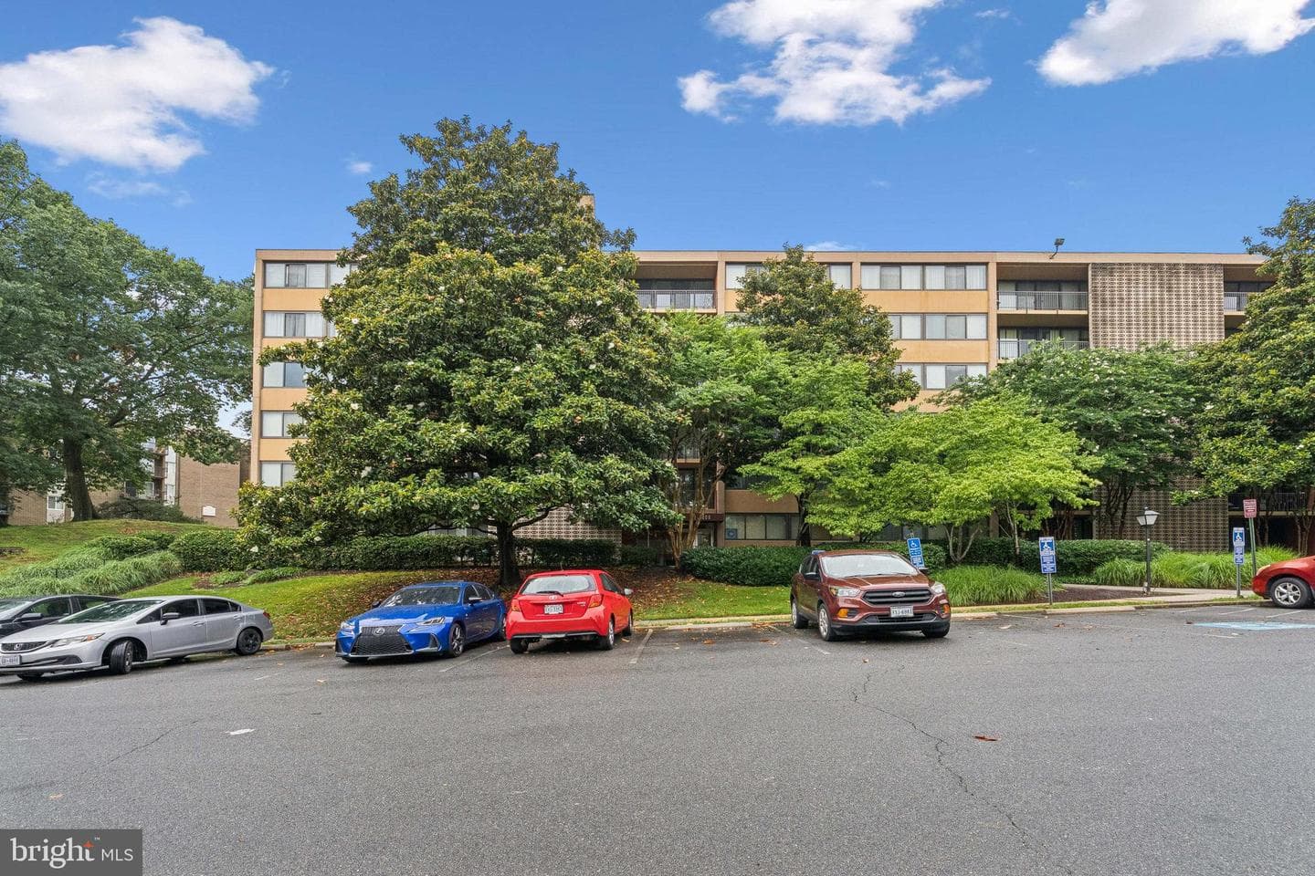 16 S Van Dorn Street #503 photo 1