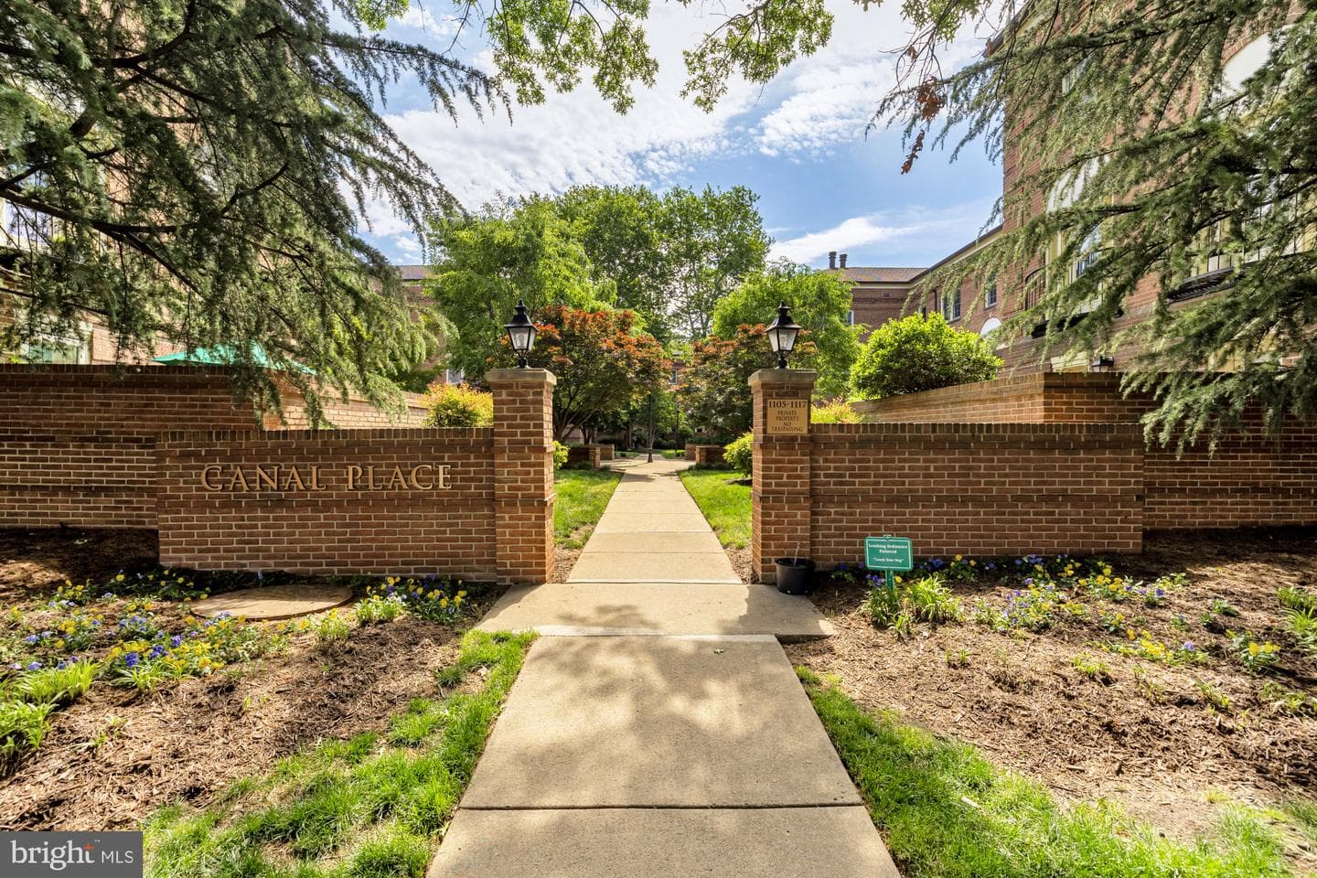 1115 N Pitt Street #3a photo 1