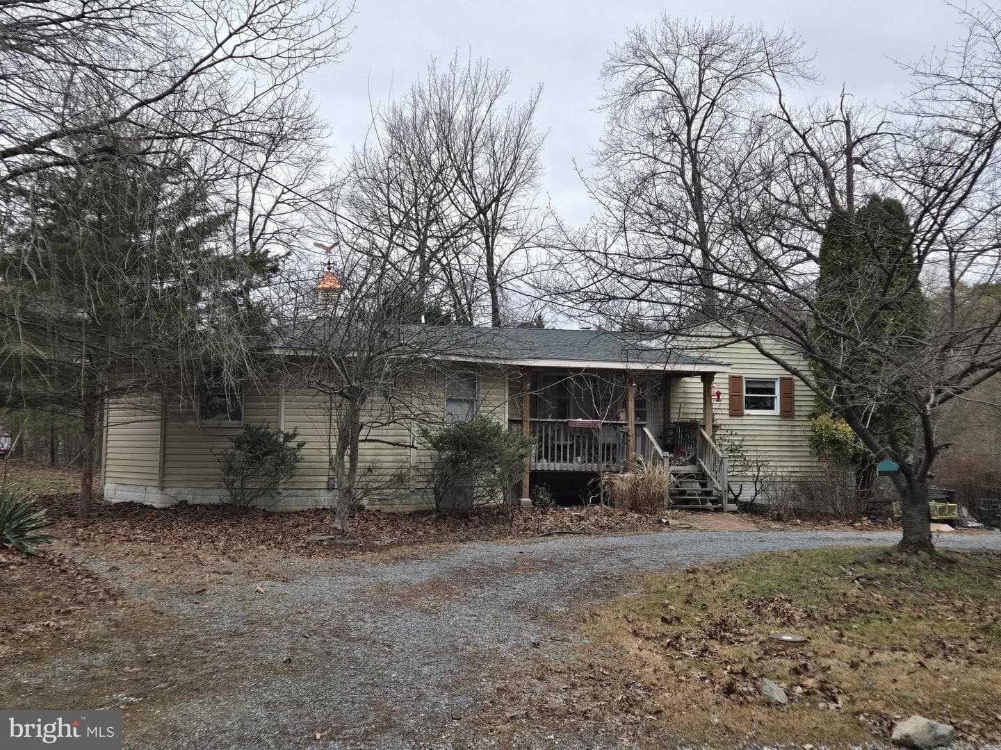 831 Beechwood Lane photo 1