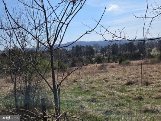 11419 Twin Mountains Road photo 1