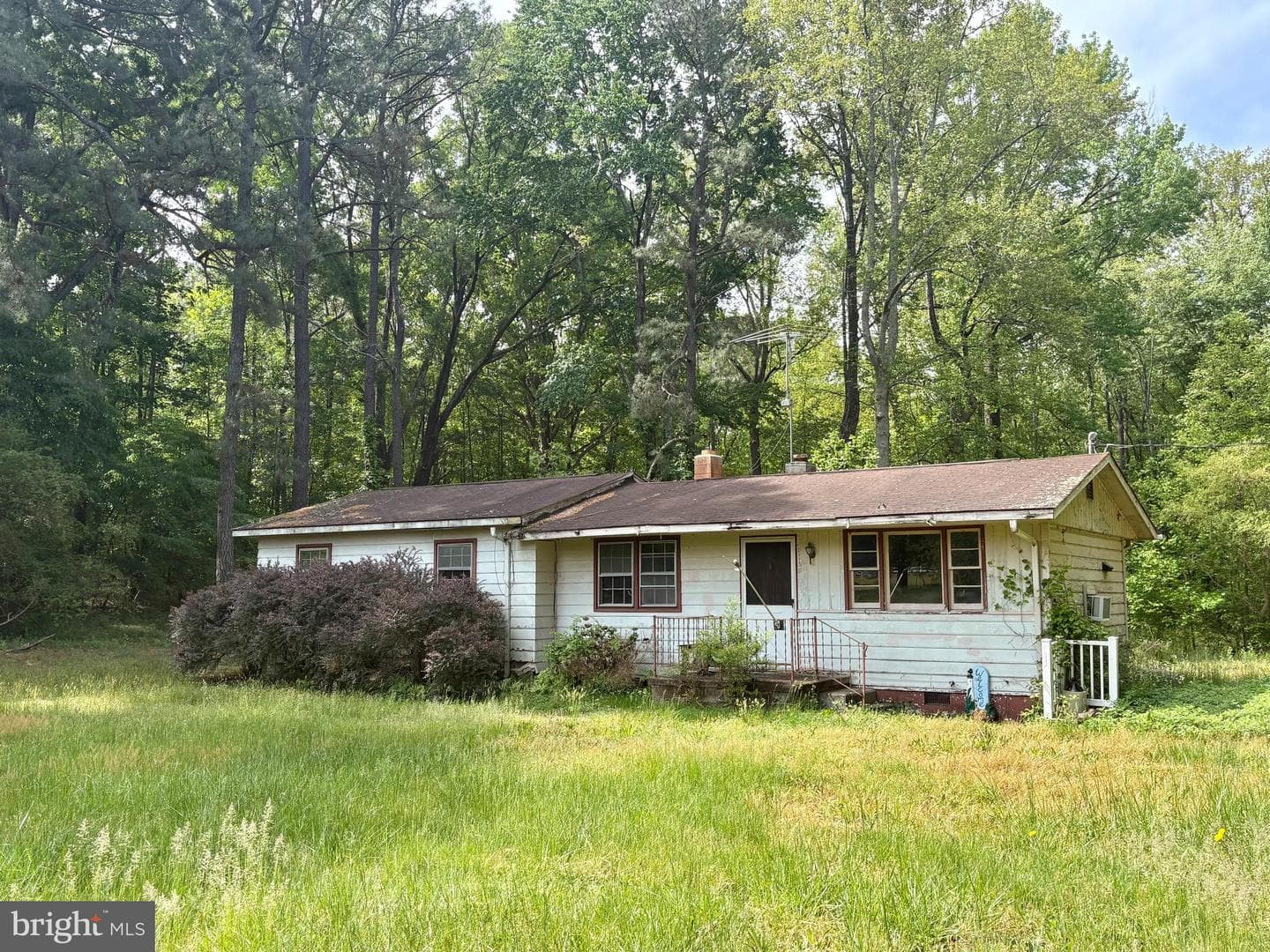 17194 New Baltimore Road